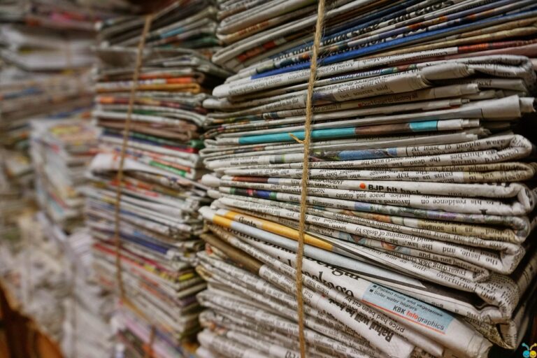 Altpapiereinsatz von 85 Prozent: Sachsens Papierindustrie setzt auf Kreislaufwirtschaft